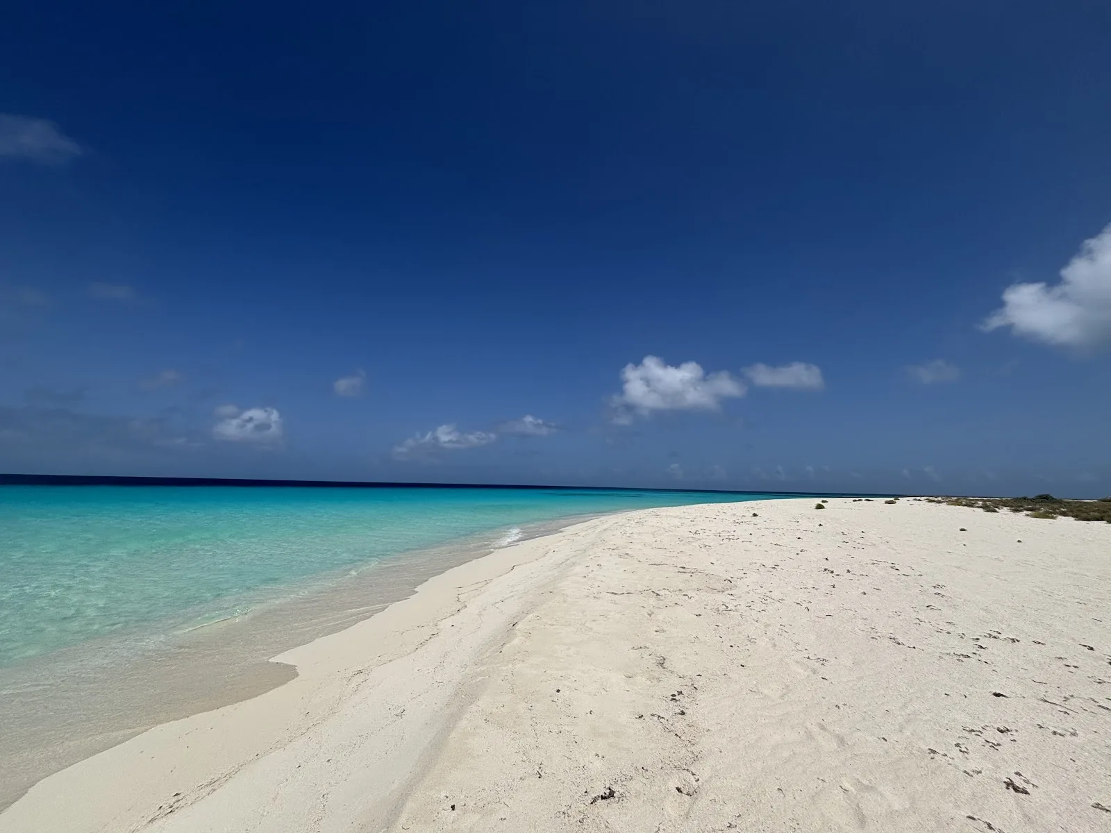 Viajando a los Roques LLC - Foto 3 | Guía Margarita