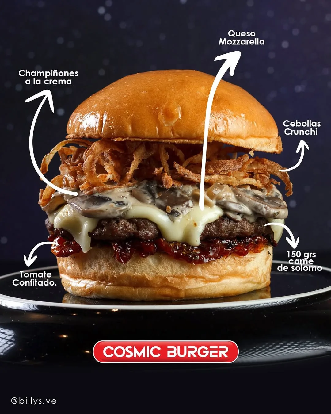 Viticos Burger